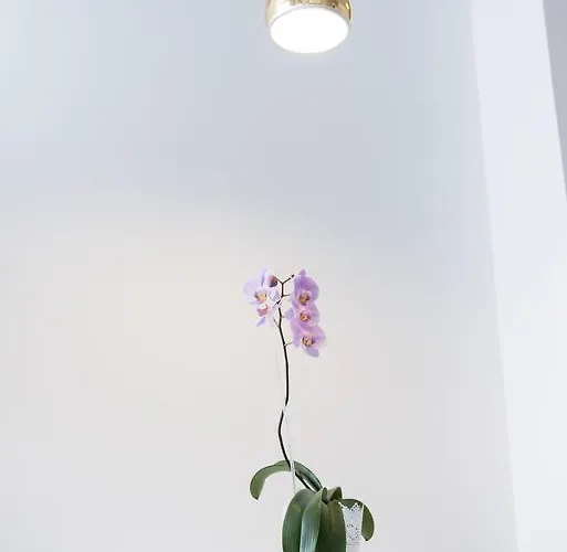 Διαμέρισμα Myapartment In The Center Τσέσκε Μπουντεγιόβιτσε